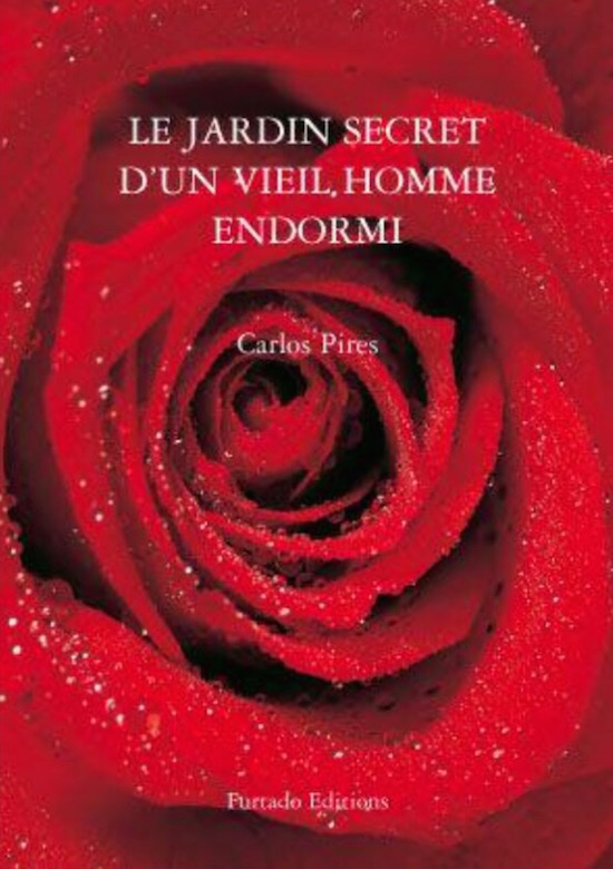 Carlos Pires - le jardin secret d'un vieil homme endormi 2